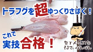 262 [Cleaning a Tiger Pufferfish Super Slowly!] Pass Your