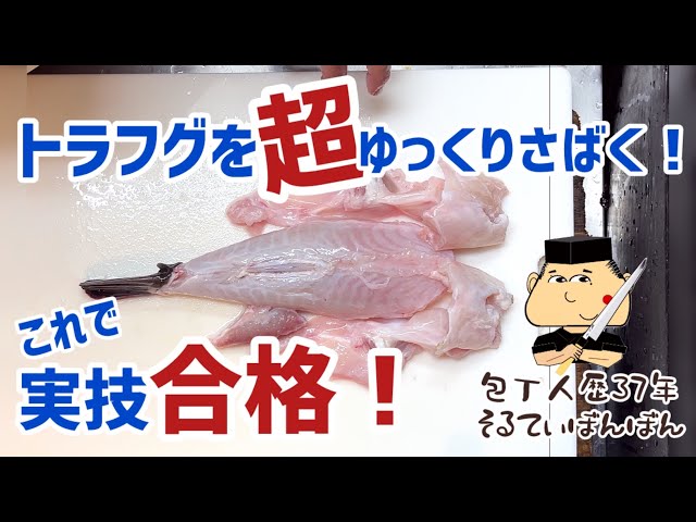 262 [Cleaning a Tiger Pufferfish Super Slowly!] Pass Your
