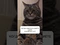 С DEVA SLIM не нужно сидеть на жестких диетах и ограничивать себя 😉