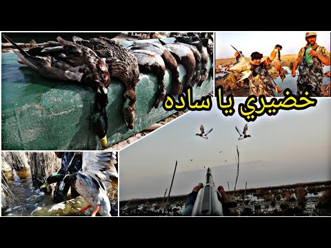 اجمل مغامره ع صيد بط الخضيري والحذاف والكوشر متعه