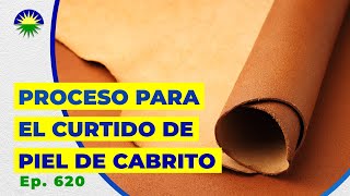 620. Proceso para el Curtido de Piel de Cabrito