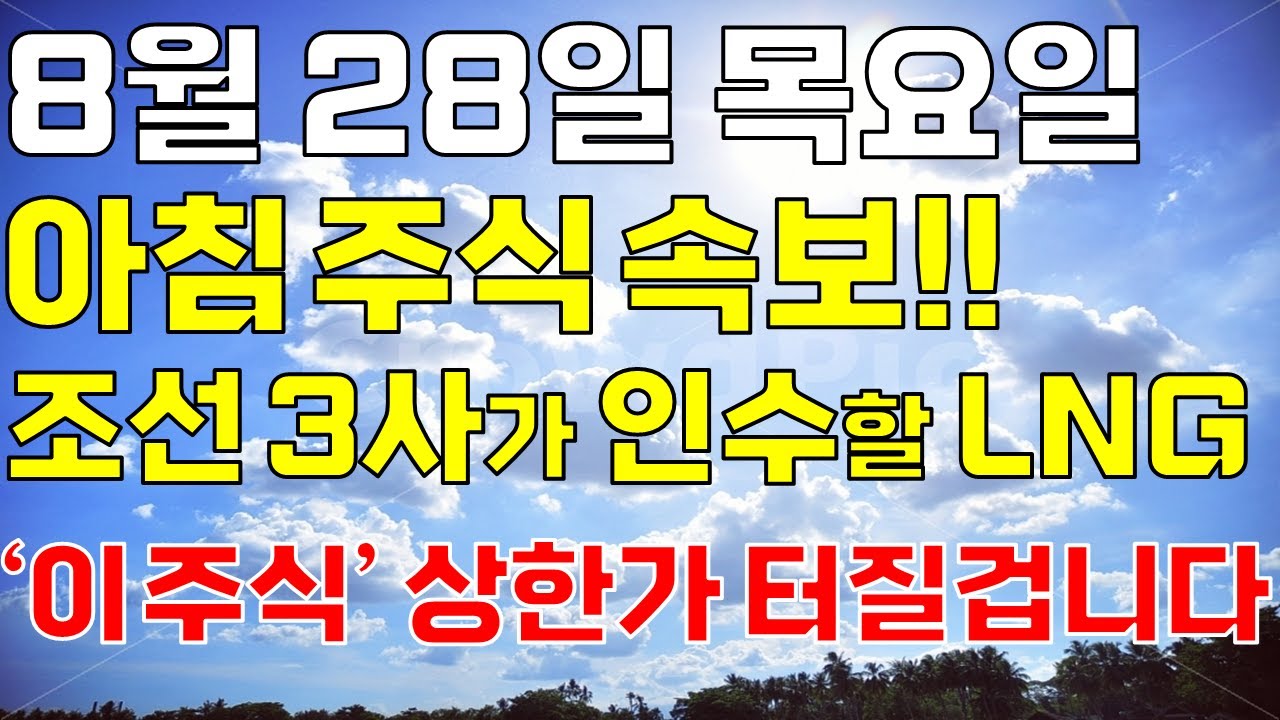 한라IMS, 왜 사야 할까? 조매니저 전문가의 추천 이유, 주가 전망, 목표가를 확인하고 투자 전력에 활용하세요! | 리틀비프로젝트