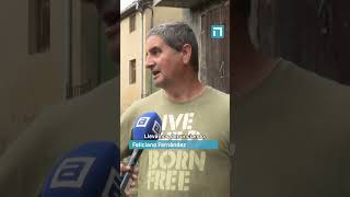 Malos olores, ratas, moscas y bichos en La Piñera