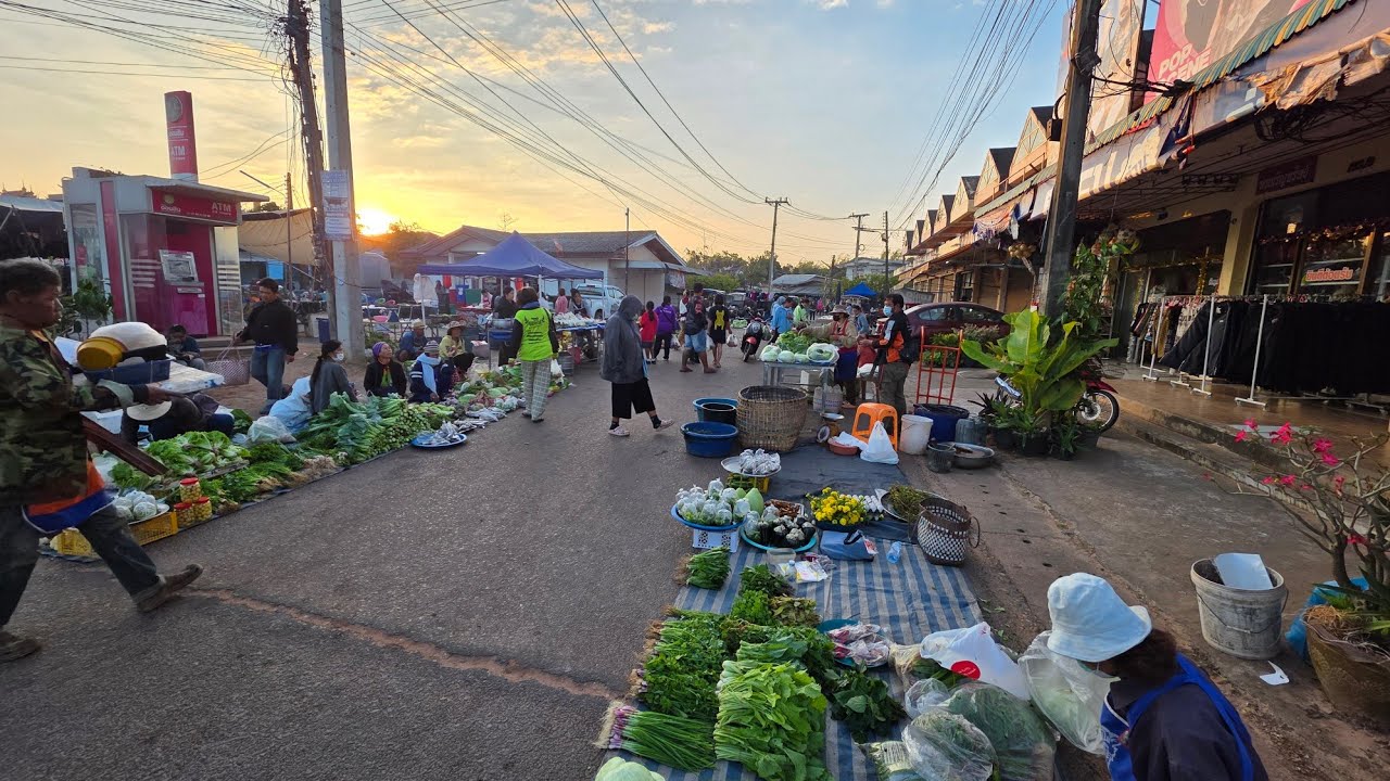 ตลาดเช้าปทุมราชวงศา #อาหารอีสาน อาหารพื้นถิ่นตามฤดูกาล จังหวัดอำนาจเจริญ