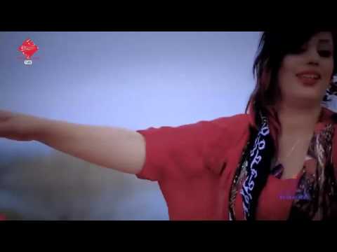 دلير كه رمياني 2016