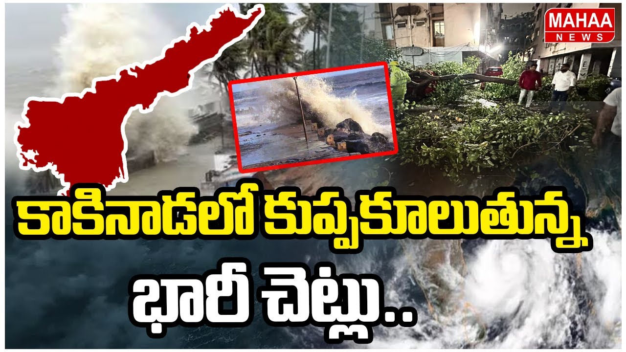 Montha Toofan Effect In Kakinada | కాకినాడలో కుప్పకూలుతున్న భారీ చెట్లు.. | Mahaa News