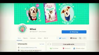 Presentación De La Página Milexi