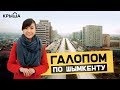 Галопом по Шымкенту: история и интересные факты о городе. Krisha KZ