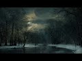 🧘 16 Minutes of Peace: Swift Stress Relief Music