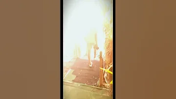 انا اسد سايق عريني 