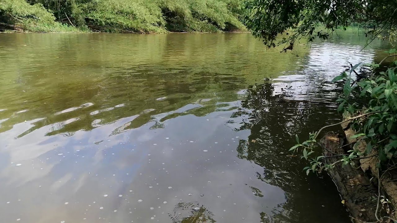 Peeing To River 🏞️ Beautiful Location for pee 😍 How real men peeing 💦