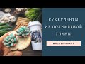 СУККУЛЕНТЫ из полимерной глины / МАСТЕР-КЛАСС / Polymer clay