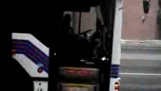 Details UTS Bus #2436 News