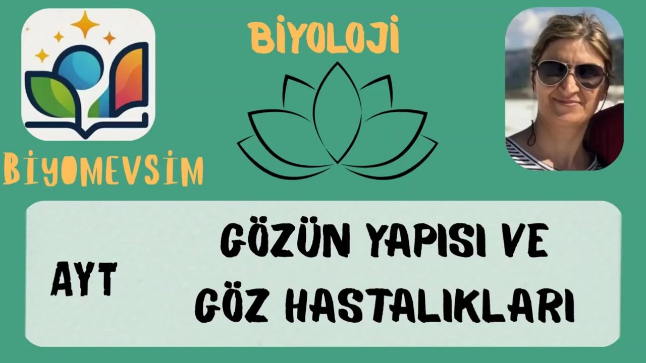 AYT-GÖZ YAPISI VE HASTALIKLARI