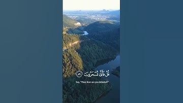 #ياسر_الدوسري #قرآن #سورة_المؤمنون #quran
