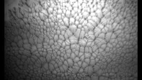 1kFPS 2cm^3 05mm spacing