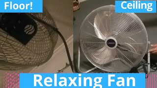 Lasko 2264 QM Floor Or Wall Mount Fan 