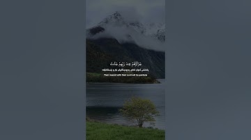 قران | سورة البينة | ابوبکر الشاطريQuran | Surah Al-Bayyinah | Abubakr al Shatri