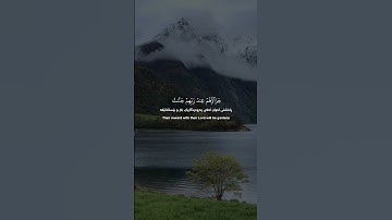 قران | سورة البينة | ابوبکر الشاطريQuran | Surah Al-Bayyinah | Abubakr al Shatri