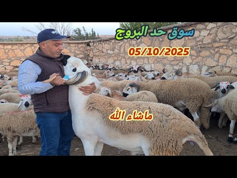 سوق حد البروج بني مسكين 05 10 2025 مع ثمن