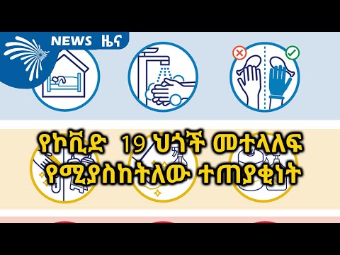 ቪዲዮ: የኮቪድ-19 ህጎችን ከጣሱ በኋላ ቤተሰብ በአውሮፓ የመርከብ ጉዞ ተጀመረ