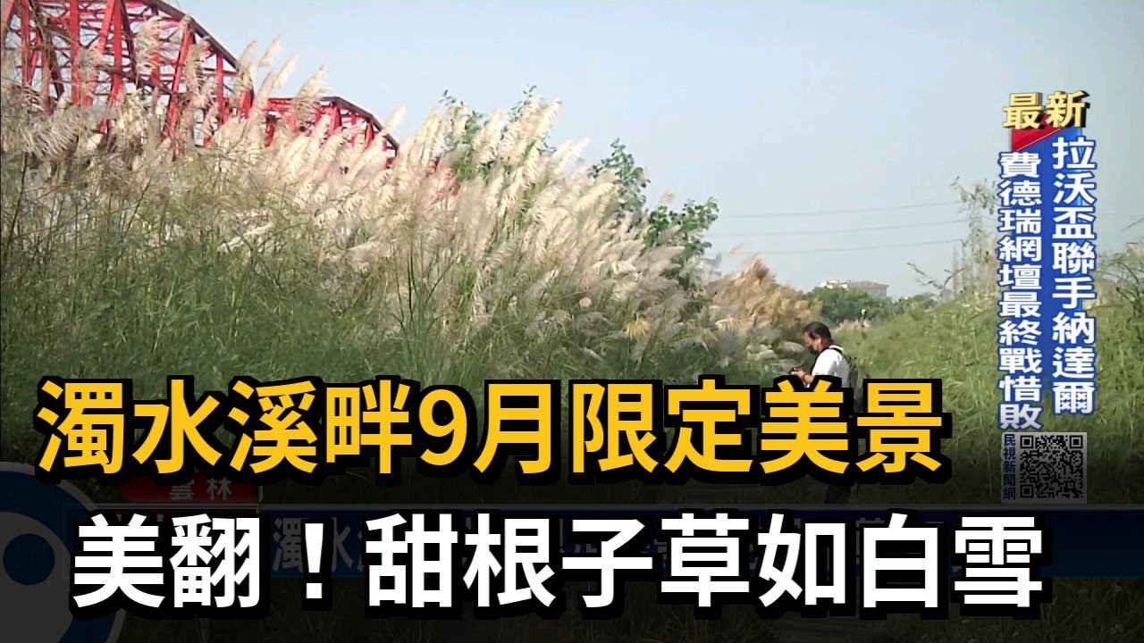 9月雪 濁水溪畔 甜根子草 盛開秋涼浪漫 民視台語新聞 Youtube