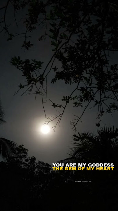 SETANGKAI ANGGREK BULAN #coversong #rolinnababan
