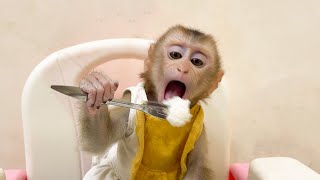 Monkey YuYu eats rice with a Spoon without Dad's help
