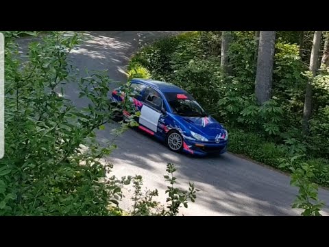 Peugeot 206 F213 Rally Chris MALLET