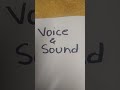 Voice &amp; Sound