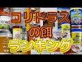 コリドラスの餌は結局どれが1番良いのか？ランキング形式で解説してみた2020【ふぶきテトラ】