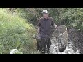 Ловля сачком в пересохших оврагах - спасаем рыбу и зарыбляем пруды