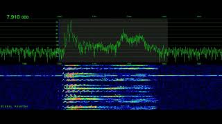 Farsi Numbers Station V32 Burst 7910 kHz | Signal Phantom screenshot 3
