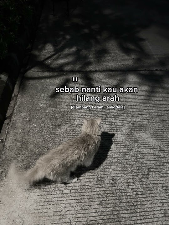 Download lagu Di ambang karam -amigdala #music #aestheticmusic #fypage