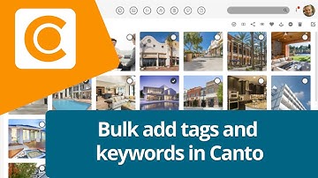 How to bulk add tags and keywords in Canto