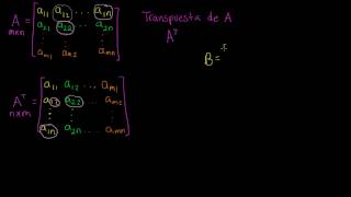Celebrity Transpose of a matrix Net Worth