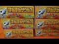 ほねほねザウルス第22弾 BOX 開封動画