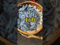 #卖鱼 #fishing #漁民 #打渔 #fish #大魚 #seafood #撈底 #food #撈撈