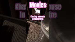 Chasing a mouse in the movie theatre