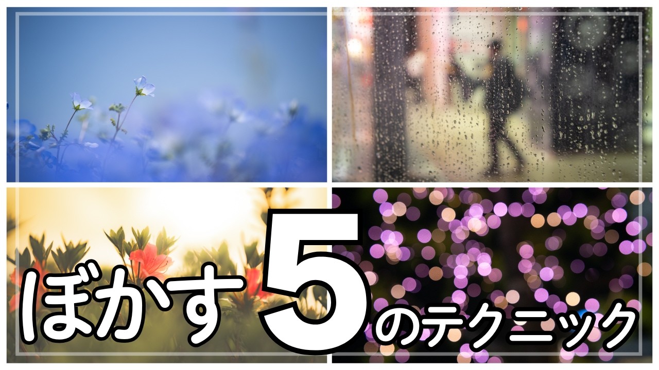 背景をぼかすだけで、写真は垢抜ける。5つの実践テクニック。