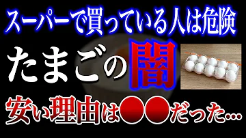 驚愕 スーパーのたまごの闇 実は今まで食べていた卵は全て だった おすすめの安全な卵の見分け方 