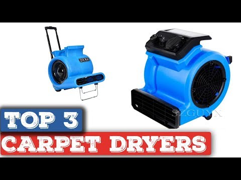 the-3-best-carpet-dryers