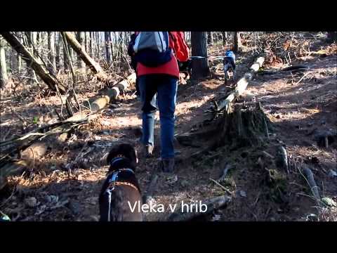 Video: Vodnik zimskih aktivnosti New Hampshire White Mountains