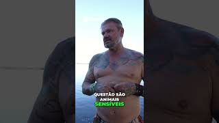 Boto Curioso  Primeiro Encontro Único na Natureza!