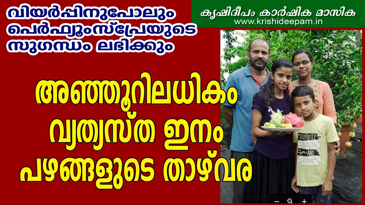നമ്മൾ കാണാൻ കൊതിക്കുന്ന  അഞ്ഞൂറിലധികം പഴങ്ങൾ | Kerala Largest Exotic Fruit Nursery in Wayanad