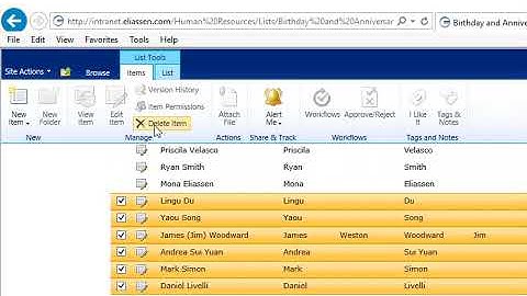 Delete Items in SharePoint List