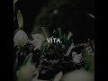 Luis Spina - Vita