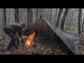 Solo camping in rain storm  relaxing in the tent shelter asmr 