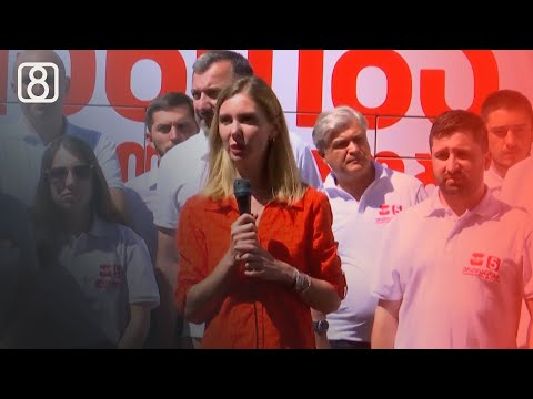 პლატფორმა „ერთიანობის“ შეხვედრები რეგიონებში