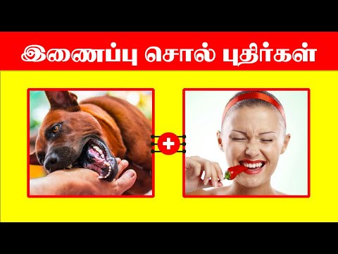 இணைப்பு சொல் புதிர்கள் | Connection word puzzle in tamil | வார்த்தை புதிர்